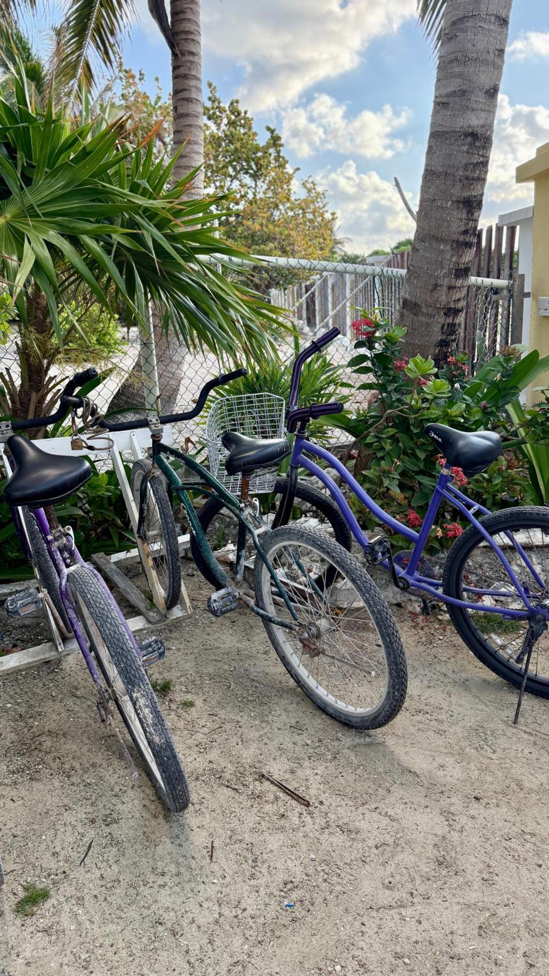 The Novelo Hotel Caye Caulker Exterior photo